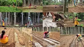 இந்த பூமி பழைய பூமி அல்லவா ஒரு புதிய பூமி சலவை செய்து கொண்டு வா/My New vegetable garden/dream life