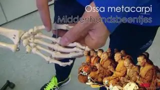 Trainingskunde - Het bottenlied