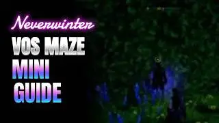 🎮 Neverwinter - VoS - Maze Wall - Mini Guide