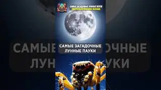 Самые большие лунные пауки #космос #интересныеистории
