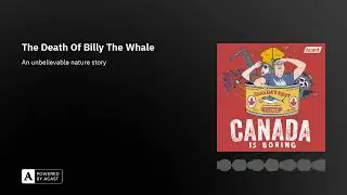 The Death Of Billy The Whale