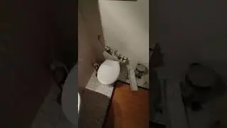 why we are here just to suffer and how to.