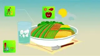 APEX Farm Animation