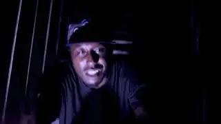 SMEREGGIE2