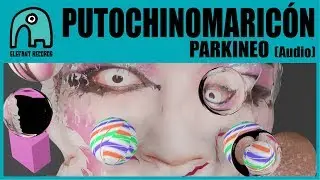 PUTOCHINOMARICÓN - Parkineo [Audio]