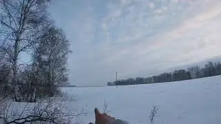 Охота на зайца! Бывает и так!