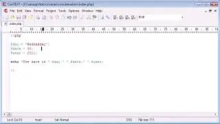 Beginner PHP Tutorial   17   Concatenation computer  tips and triks pro