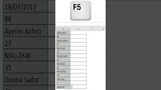 COMO COPIAR  ÚNICAMENTE EL TEXTO DE UNA COLUMNA EN EXCEL UTILIZANDO LA TECLA F5