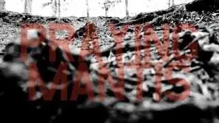 Partisan Climax - The Praying Mantis