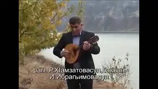 Аварская песня - Далгат Омаров