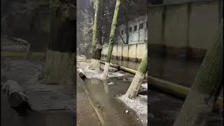 В Ростове первый снег ❄️ Первый снег ❄️ в Ростове