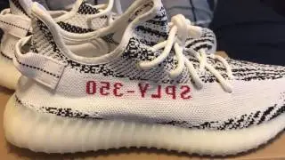 THEY'RE FINALLY HERE! Yeezy Boost 350 v2 Zebra Unboxing/Review