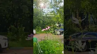07.08.24, Москва