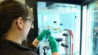 The Cornell High Energy Synchrotron Source (CHESS)