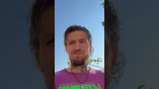 Скидки на Авито . Тинкл фишки