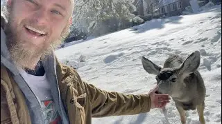 Andy Savage VLOG Episode 1 - Evergreen (Petting Wild Deer, STREET WORKOUT, Functional Fitness)