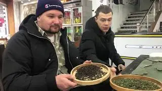 Как правильно заваривать чай? Чайный рынок в Чэнду (Chengdu)