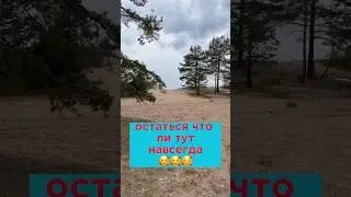 SYSTO FESTIVAL | ОБОСНОВАЛИСЬ | ПЕРВЫЙ ЛАГЕРЬ | ФИНСКИЙ ЗАЛИВ