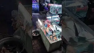 Pasar Ikan Hias Jatinegara Malam Hari