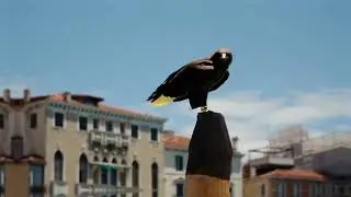 Runway rolled out a new feature in their AI video editor.