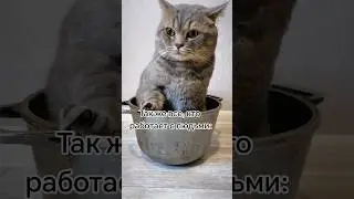 безудержное веселье 🤌😅