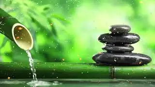 Música Relajante y Sonidos de Agua de Bambú Para Dormir # 13