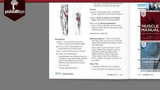 Groin Strain Dr  Vizniak