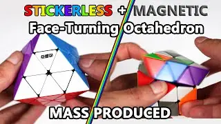 DianSheng's Stickerless FTO M Review