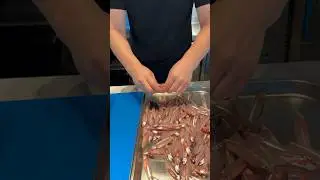 White anchovy 🐟 Beyaz Hamsi ✔️ 