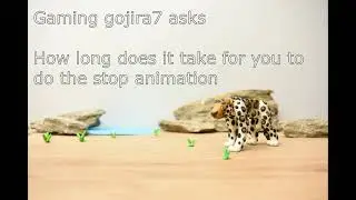 Q & A answers