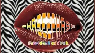 phase2phase -  President of Funk