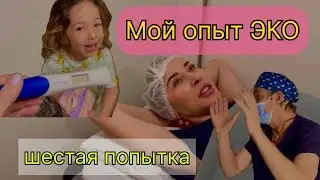 Мой опыт процедуры ЭКО. Шестая попытка.