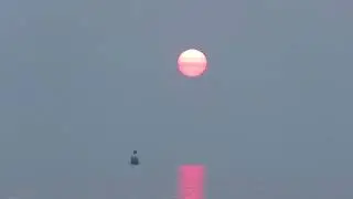 August Foggy Sunrise
