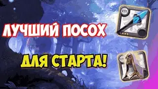 ZERO TO HERO FROST STAFF IN ALBION ONLINE | ALBION ONLINE