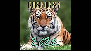 C.H.E.B.U.R.E.K - 2022