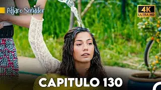 Pájaro Soñador Capítulo 130 (Doblado En Español 4K)