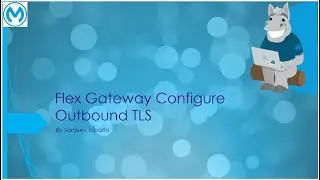 Flex Gateway Part VI -Config Outbound TLS Context for Flex Gateway deployed on Docker- Connectd Mode