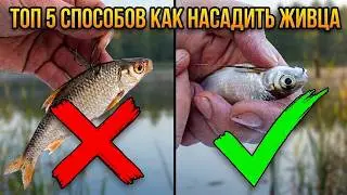 TOP 5 ways to hook a live bait fish. 2023