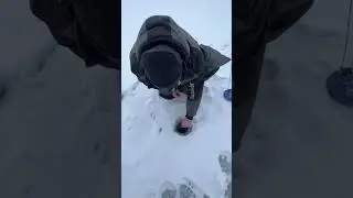 #рыбалка поймал , отпустил )