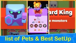 PunBall: List of Pets & Best SetUp