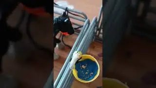 непобедимый 5 серия