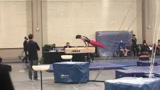 Gavin Urash, Pommels, 2021 Region 8 Championships, Axcelerate Gymnastics