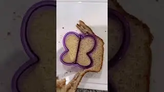 Dinner time! 
