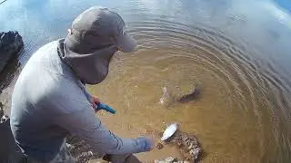Рыбалка на Амуре