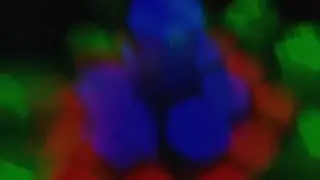 Electrocity - black light