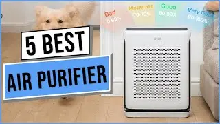 Best Air Purifier 2024 | Top 5 Best Air Purifiers - Buying Guide