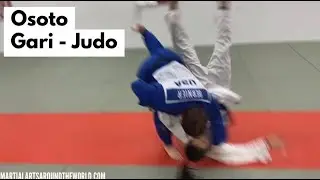 Judo - Osoto Gari (Large Outer Reap Throw)