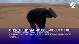 Астраханским сельскохозяйственным землям грозит опустынивание