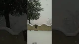 snow naran kagan