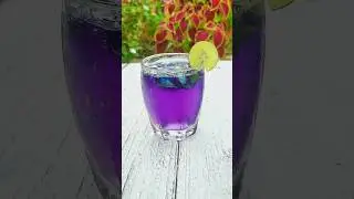 Butterfly Pea Lemonade | Blue tea lemonade #bluetea #shorts #trending #ytshorts #viralvideo